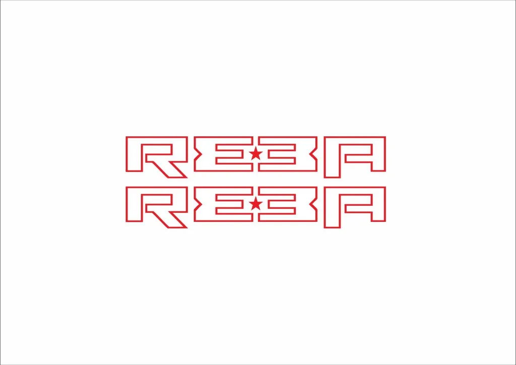 Rock Shox REBA 2006 Fork Decal Mountain Bike Cycling Sticker Adhesive Red #2