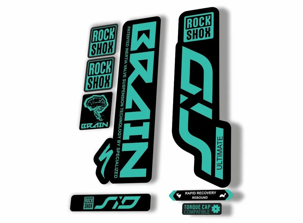 Rock Shox SID Brain ULTIMATE 2020 Mountain Bike Cycling Decal Sticker Dolphin