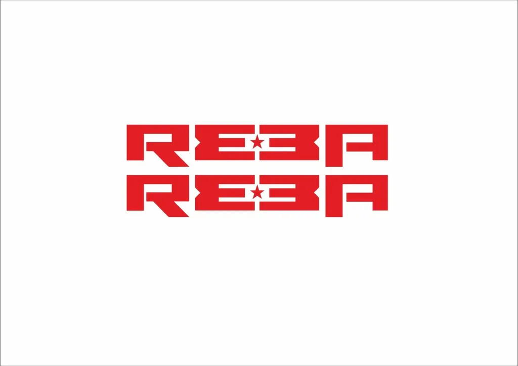 Rock Shox REBA 2006  Fork Decal Mountain Bike Cycling Sticker Adhesive Red #1