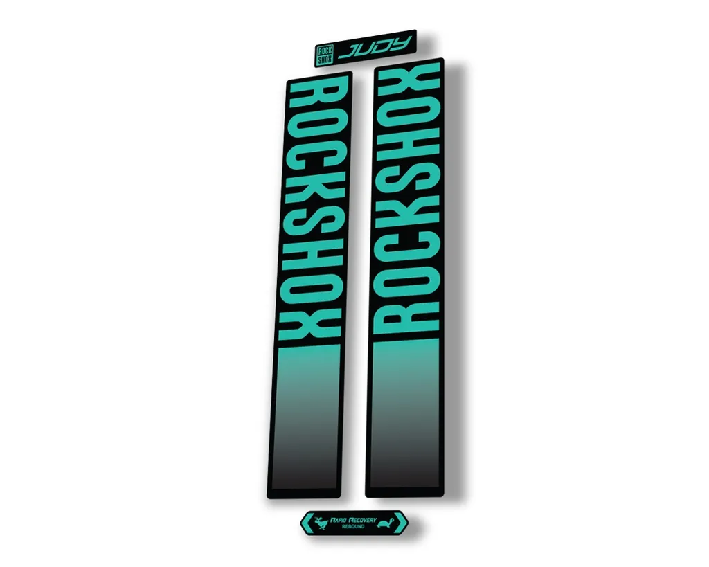 Rock Shox JUDY 2021 Fork Decal Mountain Bike Cycling Sticker Adhesive Dolphin