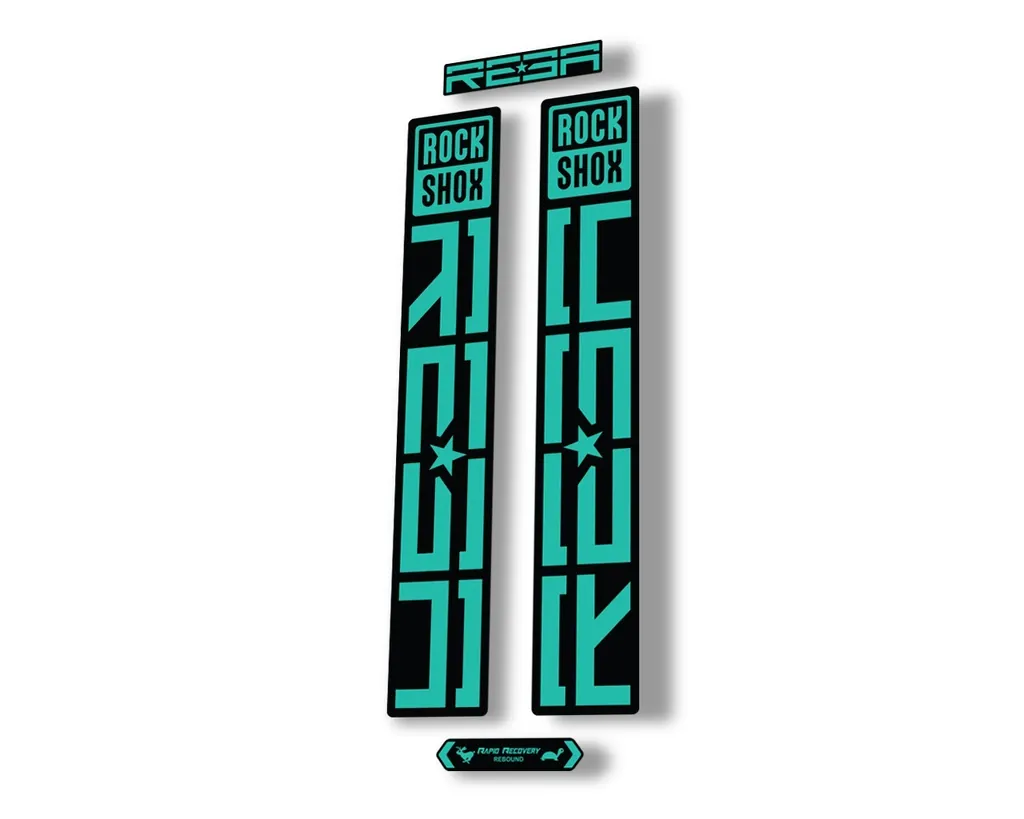 Rock Shox REBA 2021 Fork Decal Mountain Bike Sticker Adhesive Set Dolphin