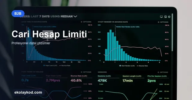 B2B Portalda Cari Hesap Limiti Nasıl Yönetilir?